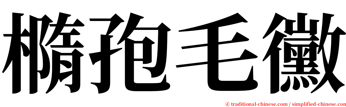 橢孢毛黴 serif font