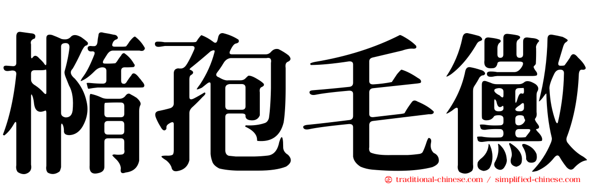 橢孢毛黴
