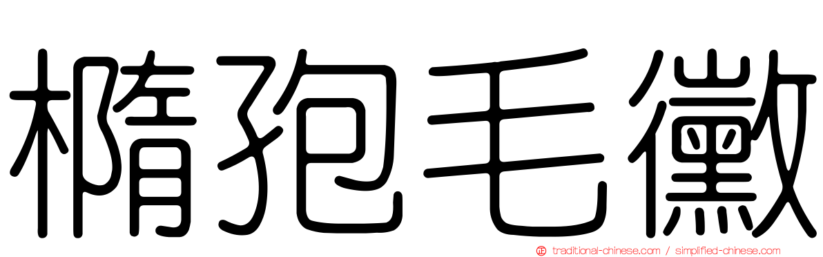 橢孢毛黴