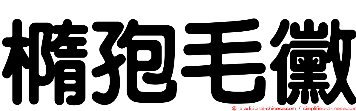 橢孢毛黴