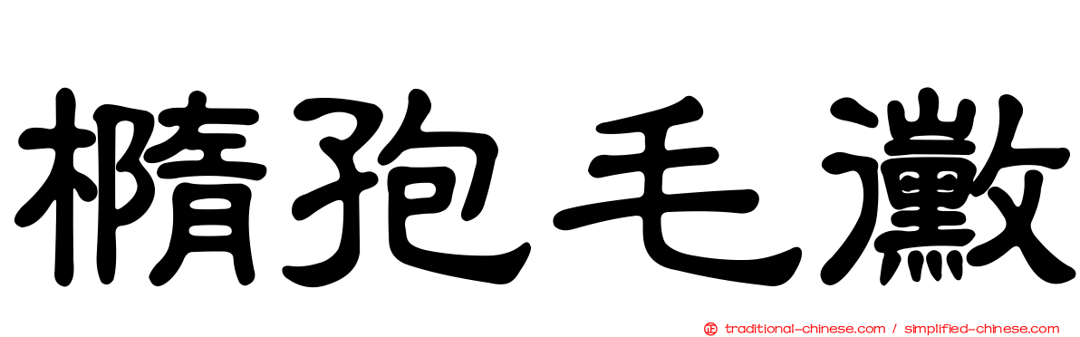 橢孢毛黴