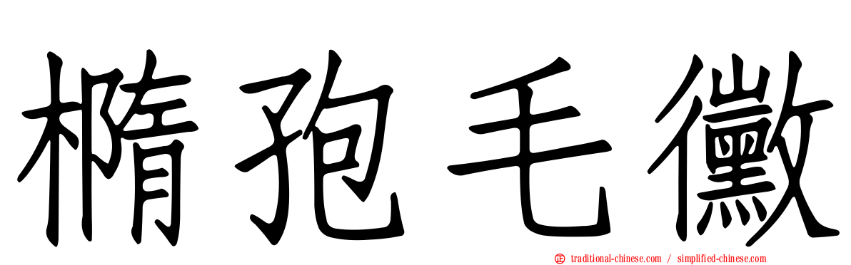 橢孢毛黴