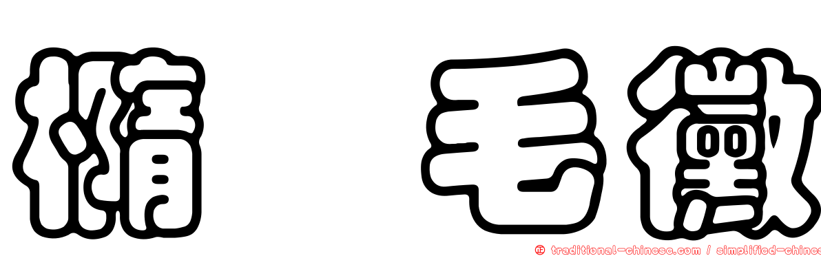 橢孢毛黴