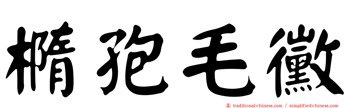 橢孢毛黴