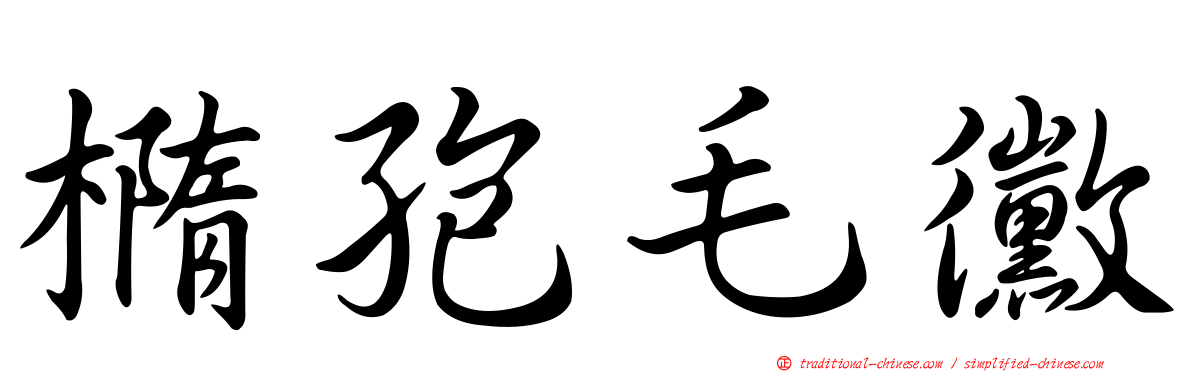 橢孢毛黴