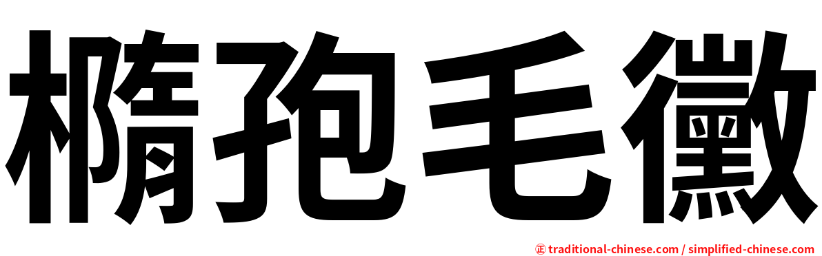 橢孢毛黴