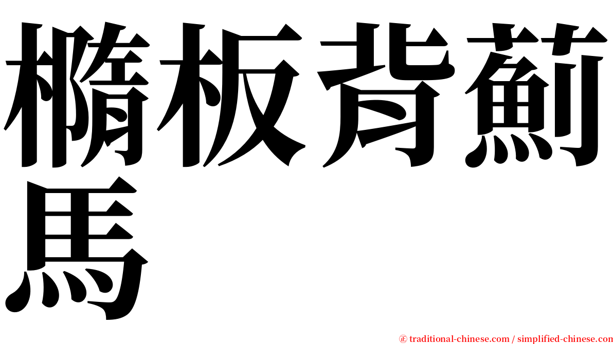 橢板背薊馬 serif font