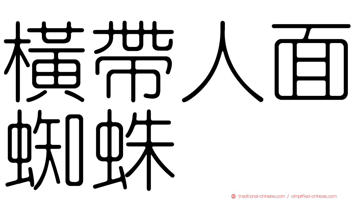 橫帶人面蜘蛛