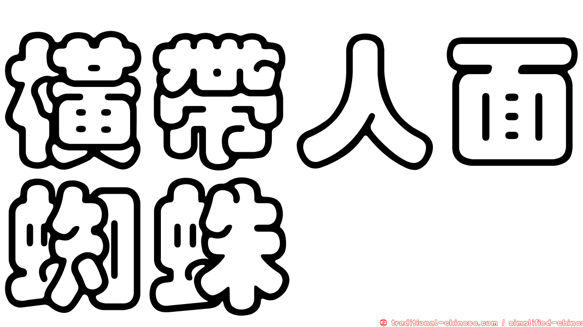 橫帶人面蜘蛛