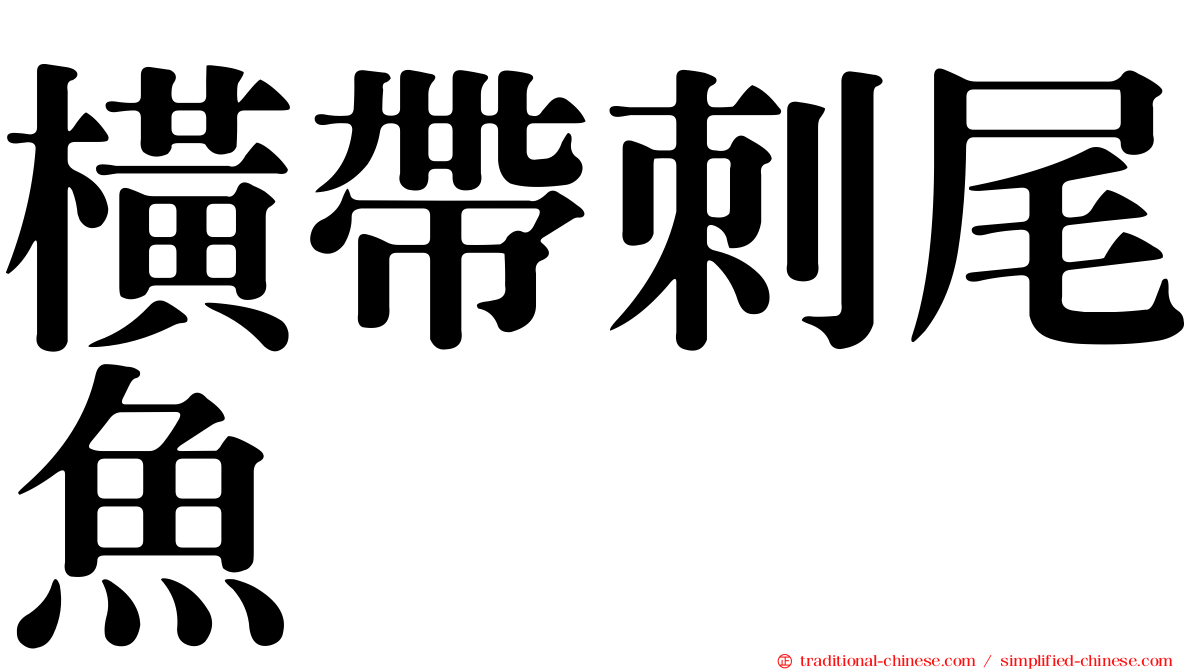 橫帶刺尾魚