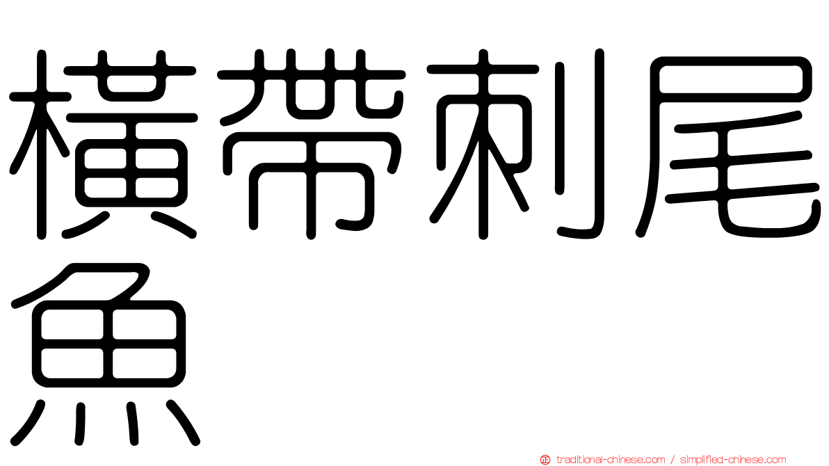 橫帶刺尾魚