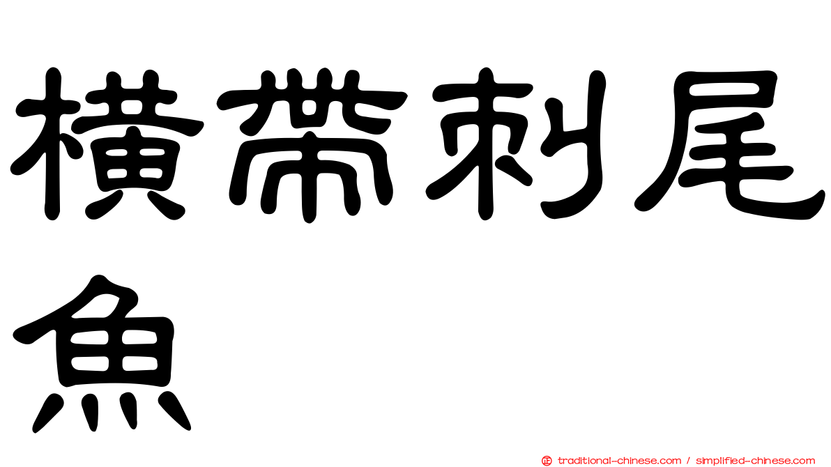 橫帶刺尾魚