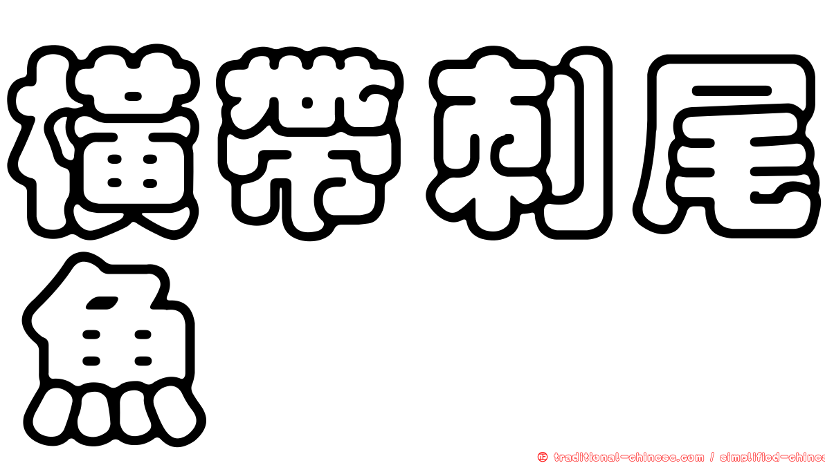 橫帶刺尾魚