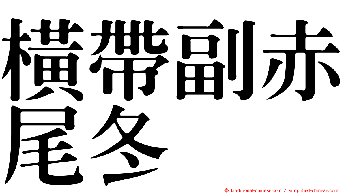 橫帶副赤尾冬