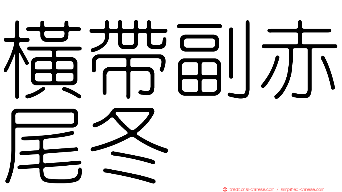 橫帶副赤尾冬