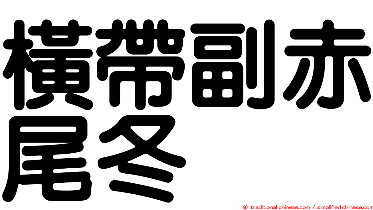 橫帶副赤尾冬