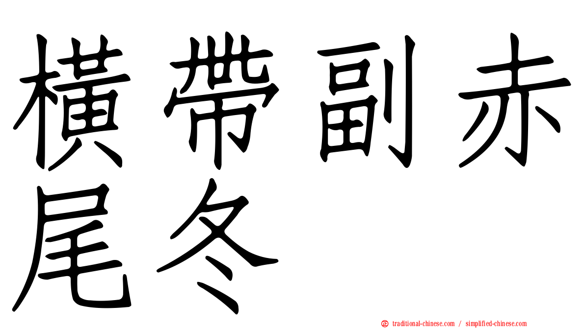 橫帶副赤尾冬