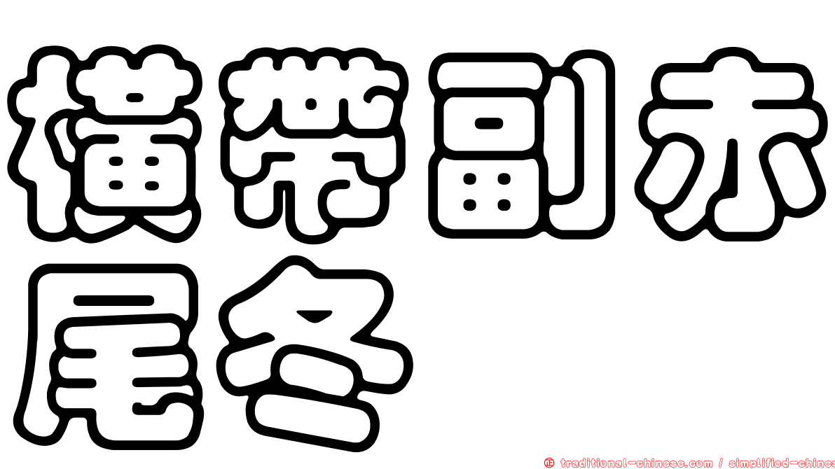 橫帶副赤尾冬