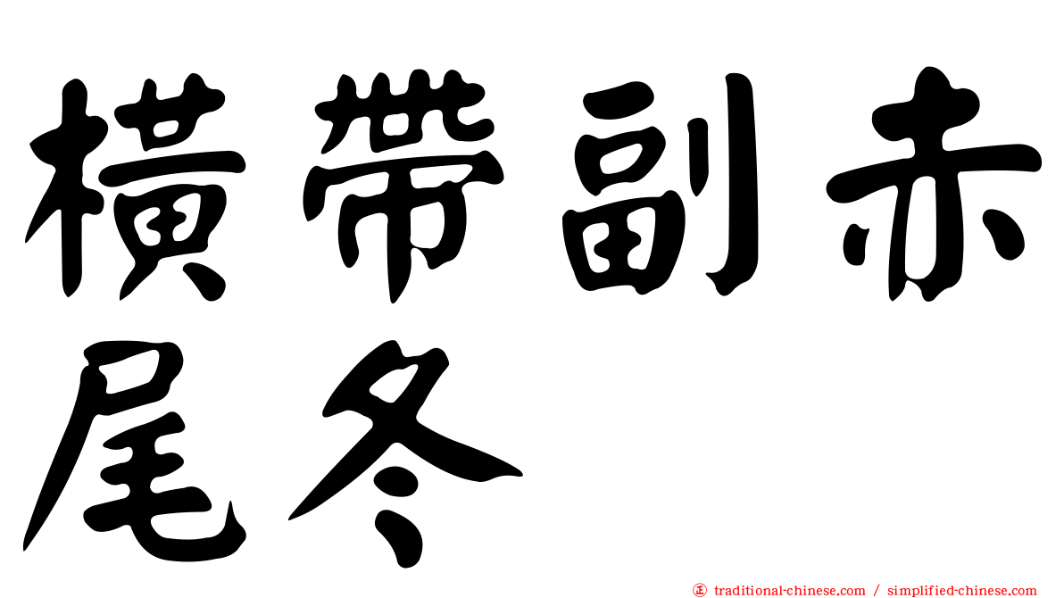 橫帶副赤尾冬