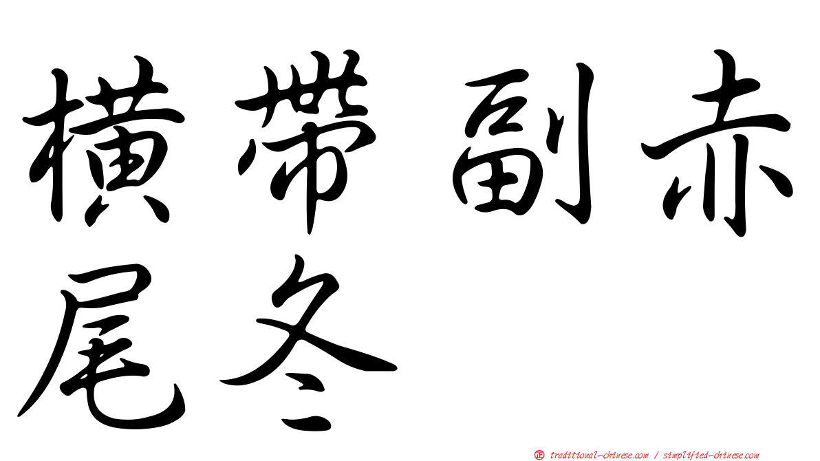 橫帶副赤尾冬