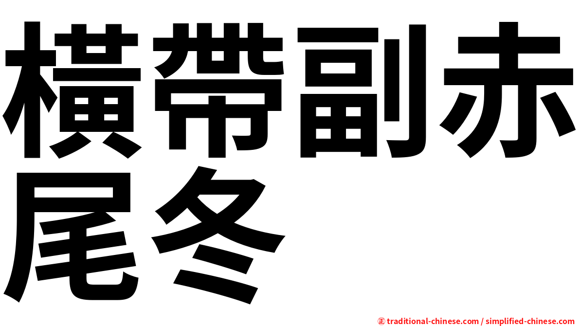 橫帶副赤尾冬