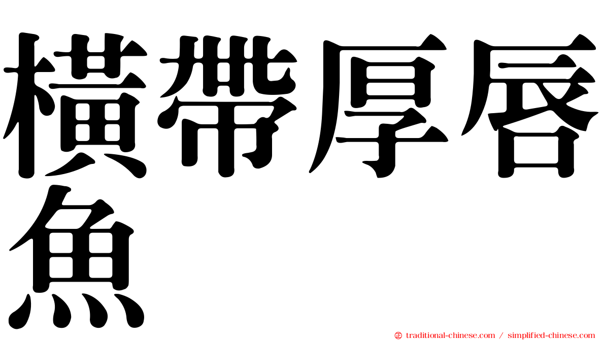 橫帶厚唇魚