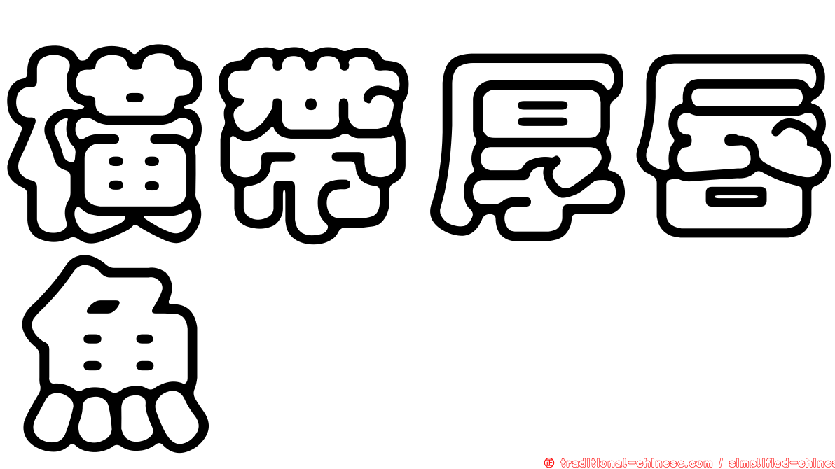橫帶厚唇魚