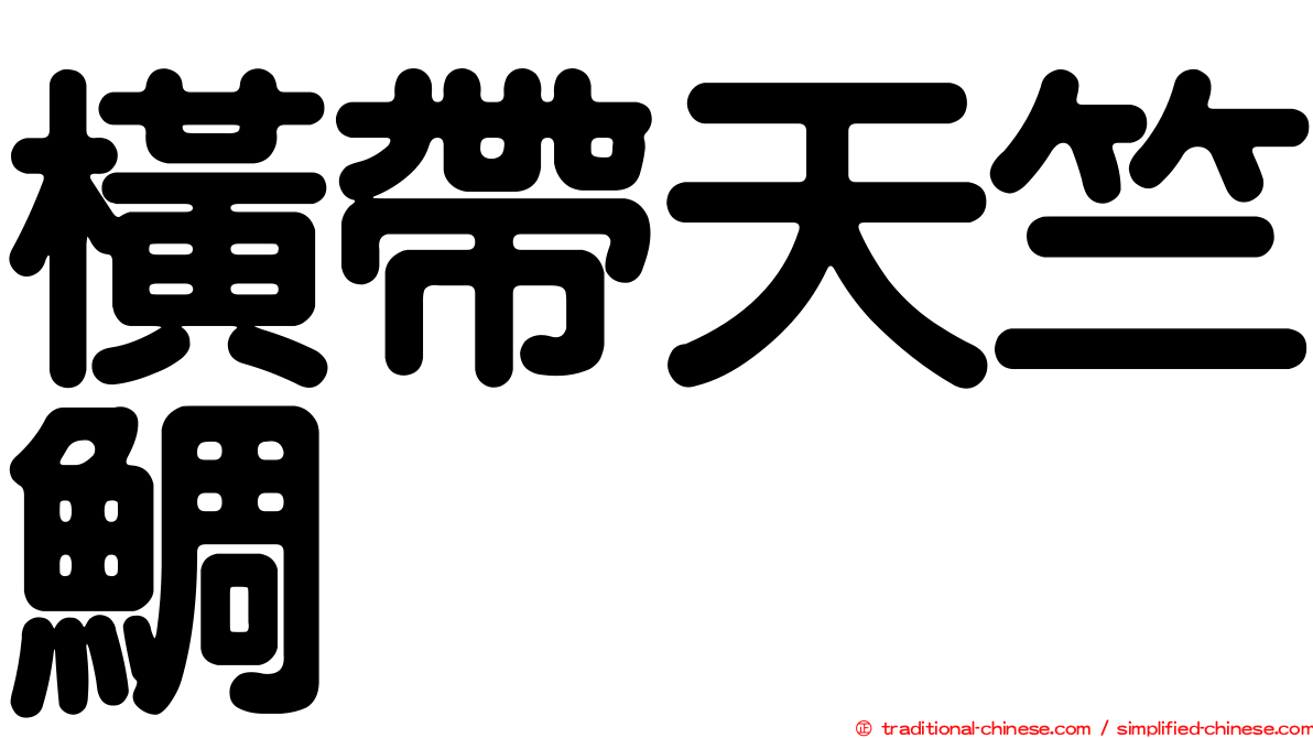 橫帶天竺鯛