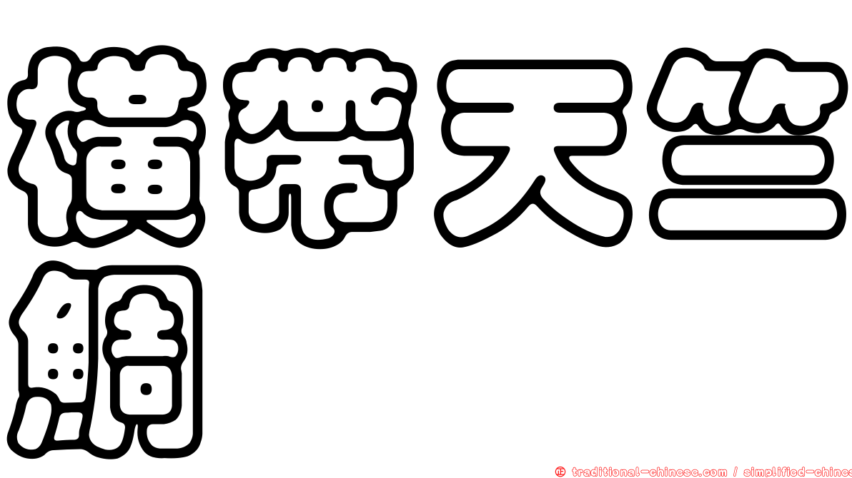 橫帶天竺鯛