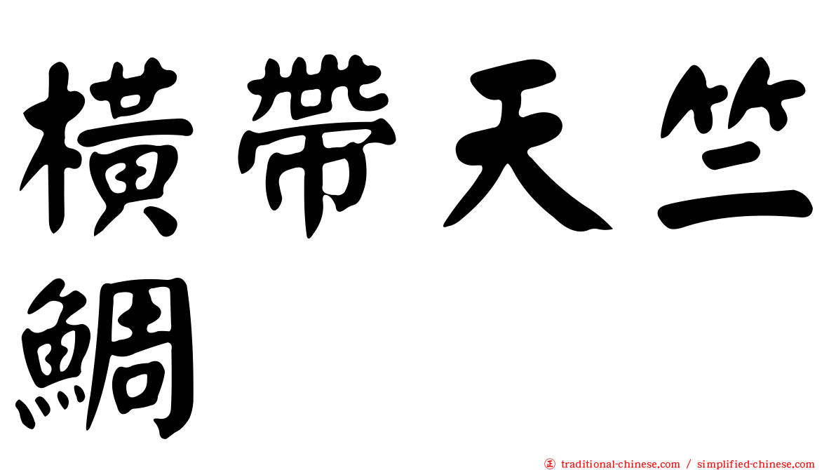 橫帶天竺鯛