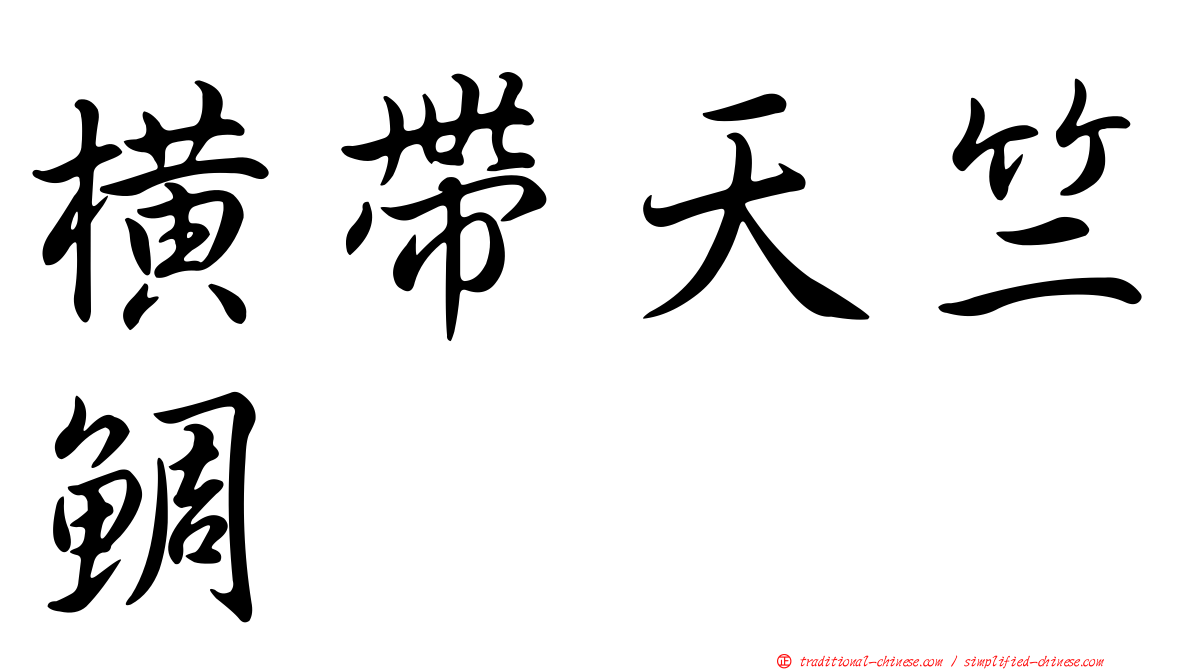 橫帶天竺鯛