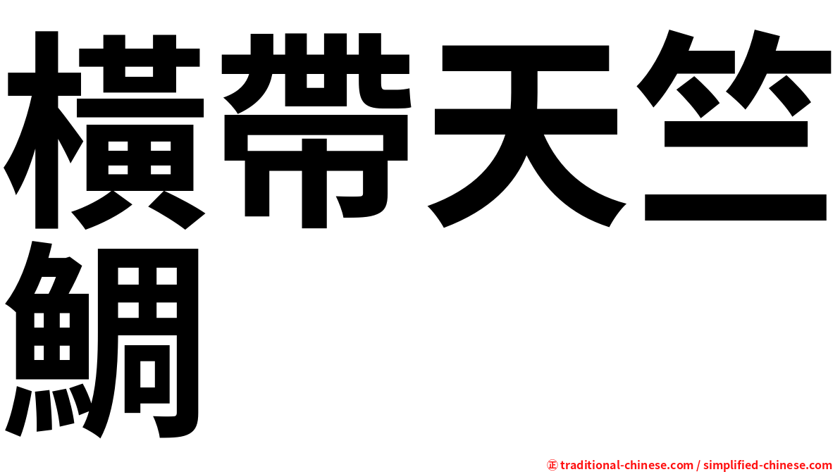 橫帶天竺鯛