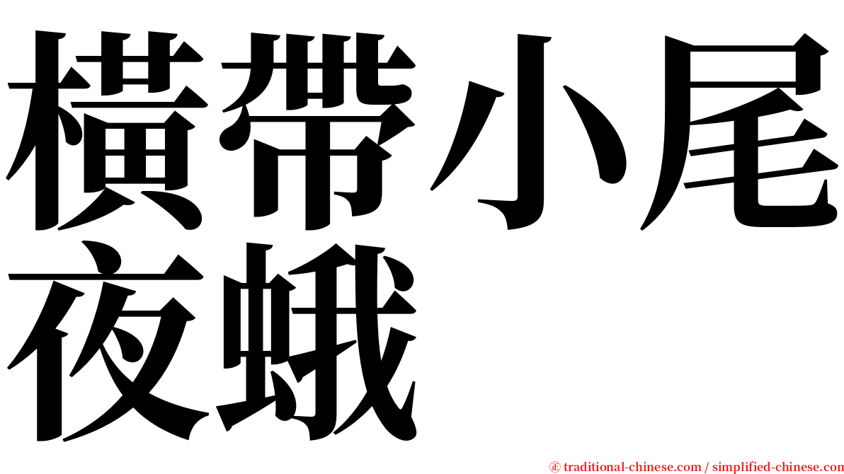 橫帶小尾夜蛾 serif font