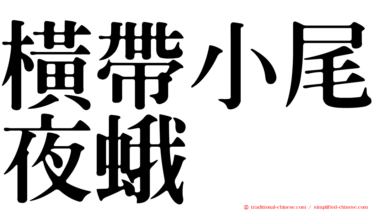 橫帶小尾夜蛾