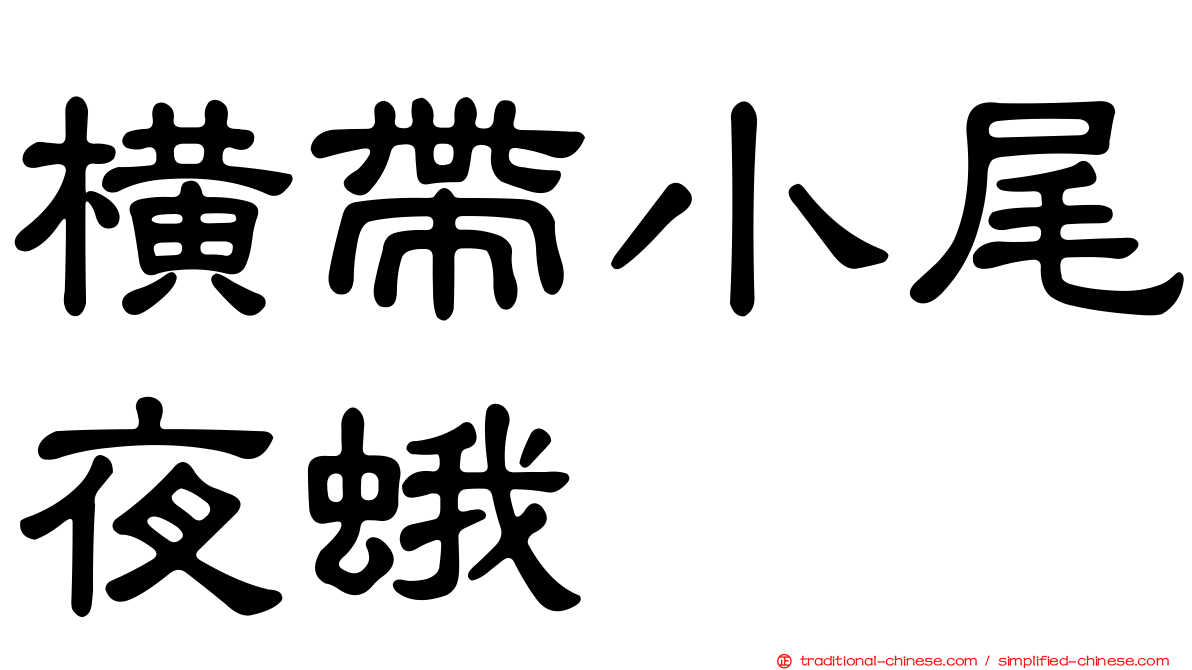 橫帶小尾夜蛾