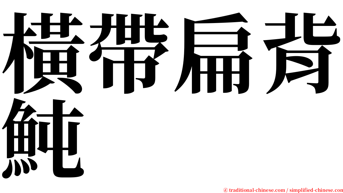 橫帶扁背魨 serif font