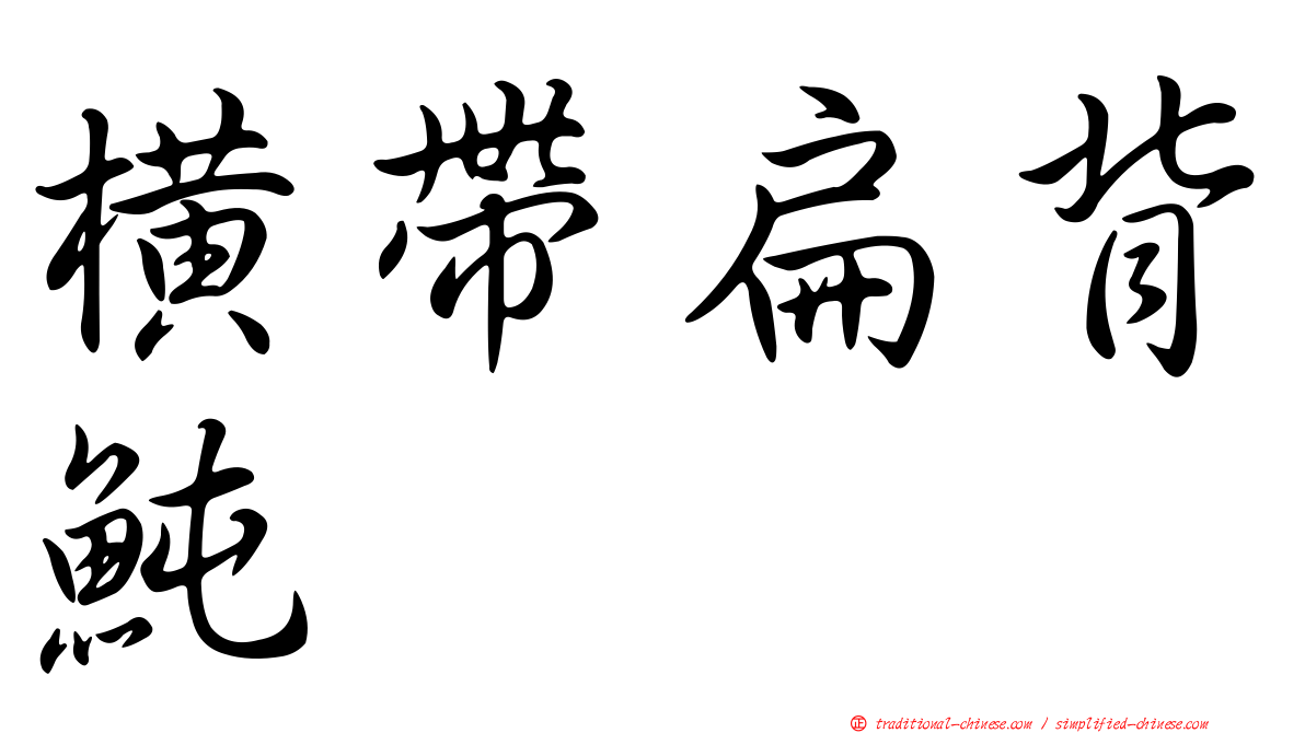 橫帶扁背魨