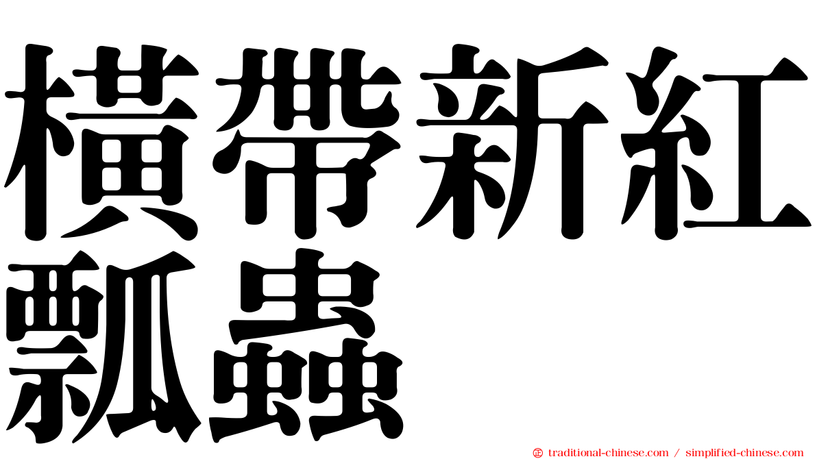 橫帶新紅瓢蟲