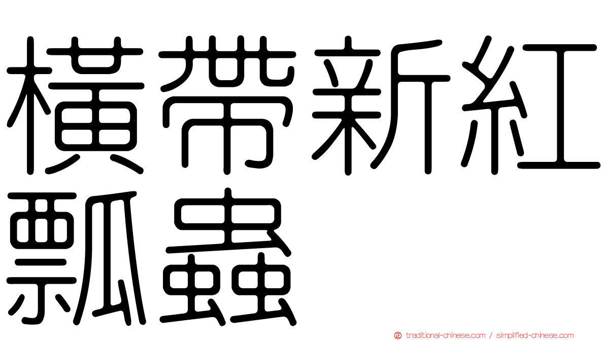 橫帶新紅瓢蟲
