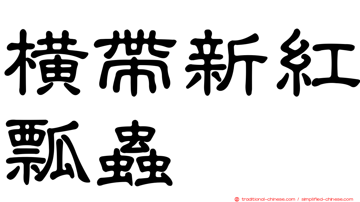 橫帶新紅瓢蟲