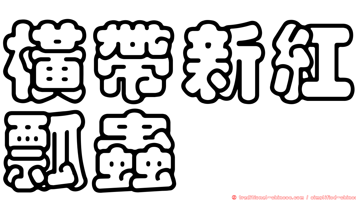 橫帶新紅瓢蟲