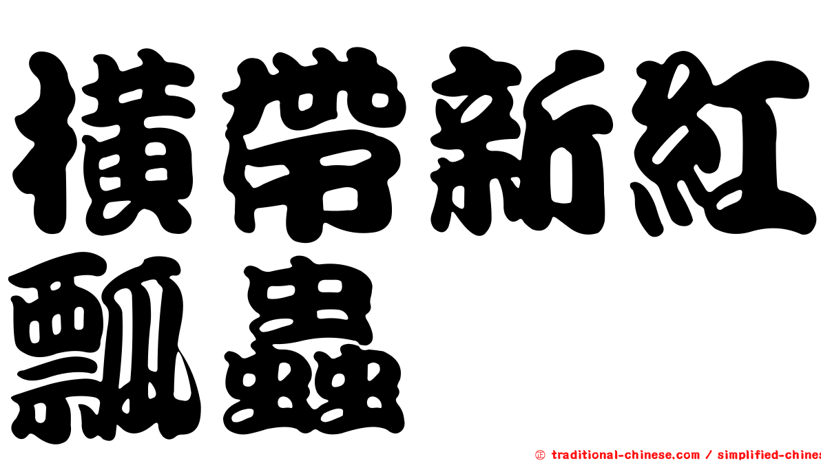 橫帶新紅瓢蟲