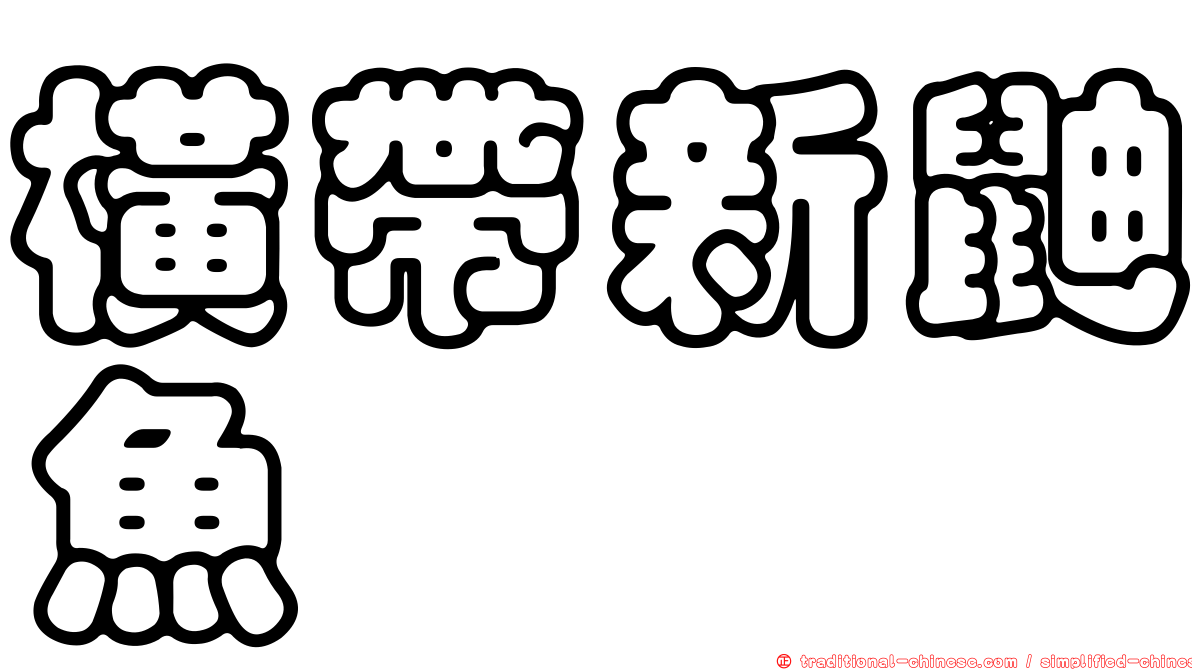 橫帶新鼬魚