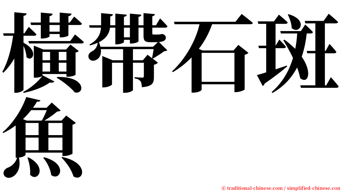 橫帶石斑魚 serif font