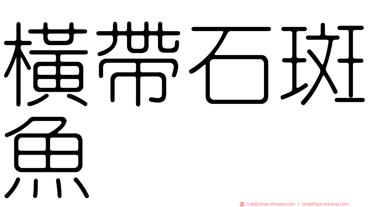 橫帶石斑魚