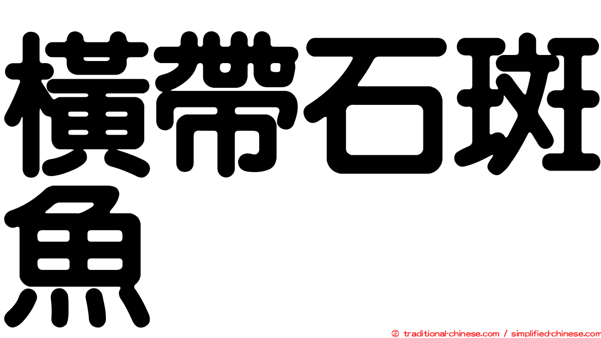 橫帶石斑魚