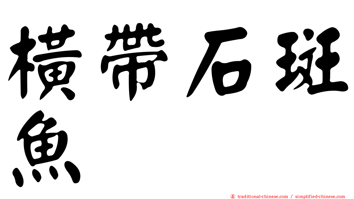 橫帶石斑魚