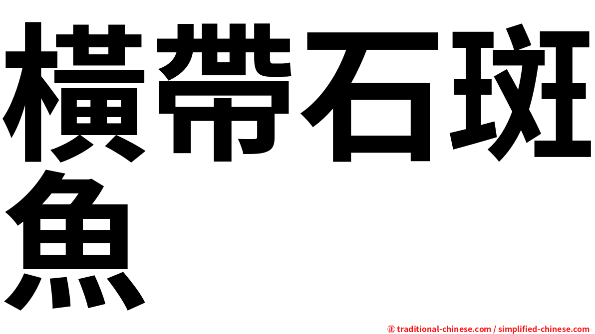 橫帶石斑魚