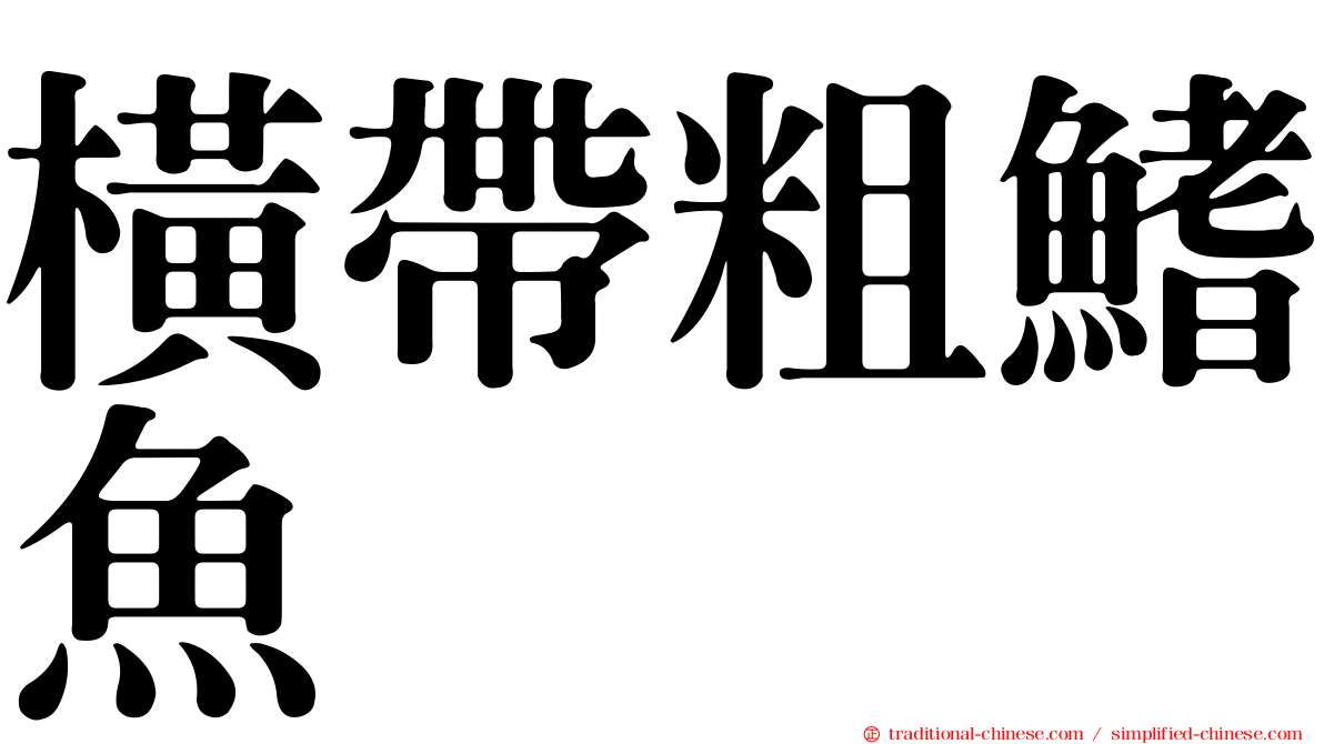 橫帶粗鰭魚