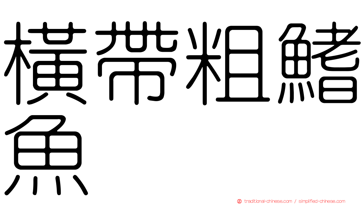 橫帶粗鰭魚